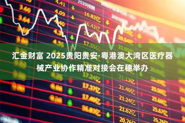 汇金财富 2025贵阳贵安·粤港澳大湾区医疗器械产业协作精准对接会在穗举办
