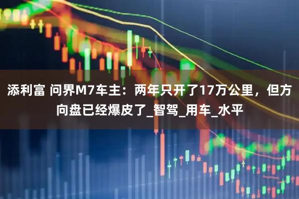 添利富 问界M7车主：两年只开了17万公里，但方向盘已经爆皮了_智驾_用车_水平