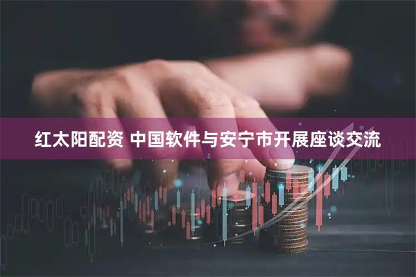 红太阳配资 中国软件与安宁市开展座谈交流