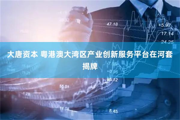 大唐资本 粤港澳大湾区产业创新服务平台在河套揭牌