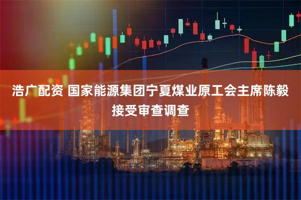 浩广配资 国家能源集团宁夏煤业原工会主席陈毅接受审查调查
